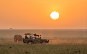 Our most popular Masai Mara safari